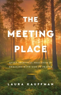 Cover of The Meeting Place