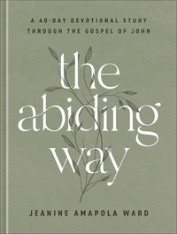 Cover of The Abiding Way