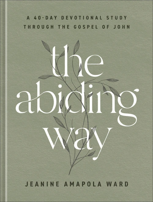Cover of The Abiding Way