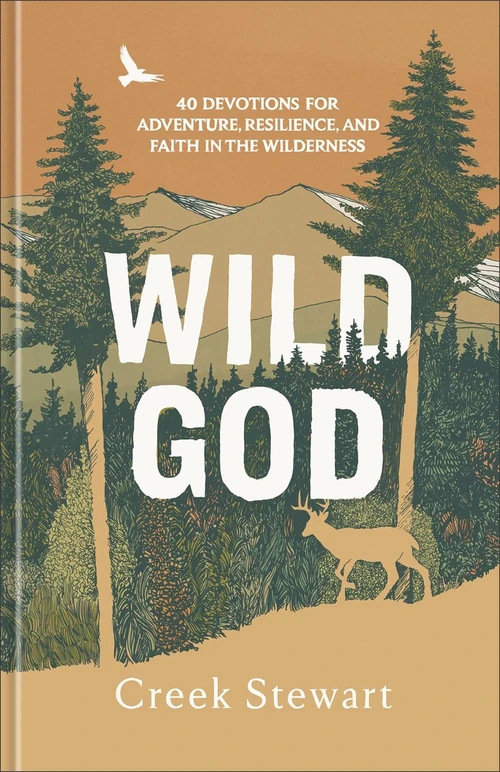 Cover of Wild God