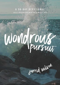 Cover of Wondrous Pursuit