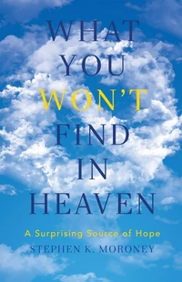 Cover of What You Won't Find in Heaven