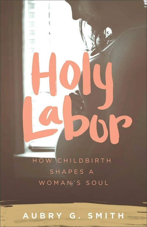 Cover of Holy Labor