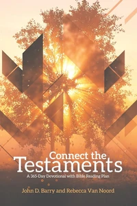Cover of Connect the Testaments