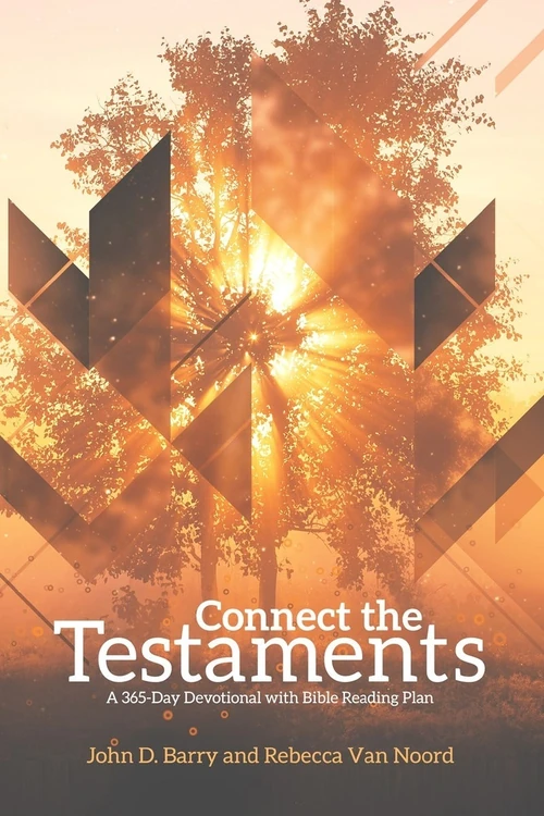 Cover of Connect the Testaments