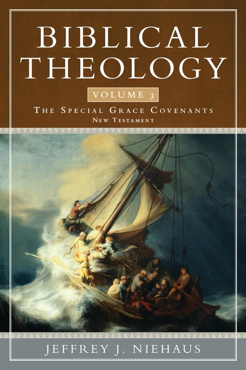 Cover of Biblical Theology, Volume 3
