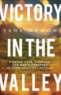 Cover of Victory in the Valley