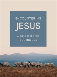 Cover of Encountering Jesus