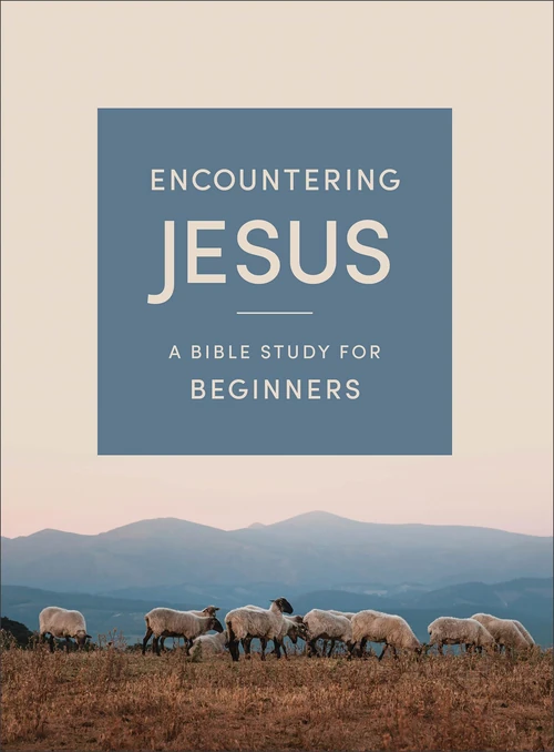 Cover of Encountering Jesus