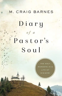 Cover of Diary of a Pastor's Soul