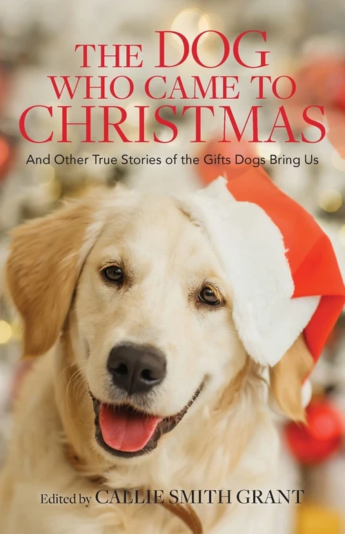 Cover of The Dog Who Came to Christmas