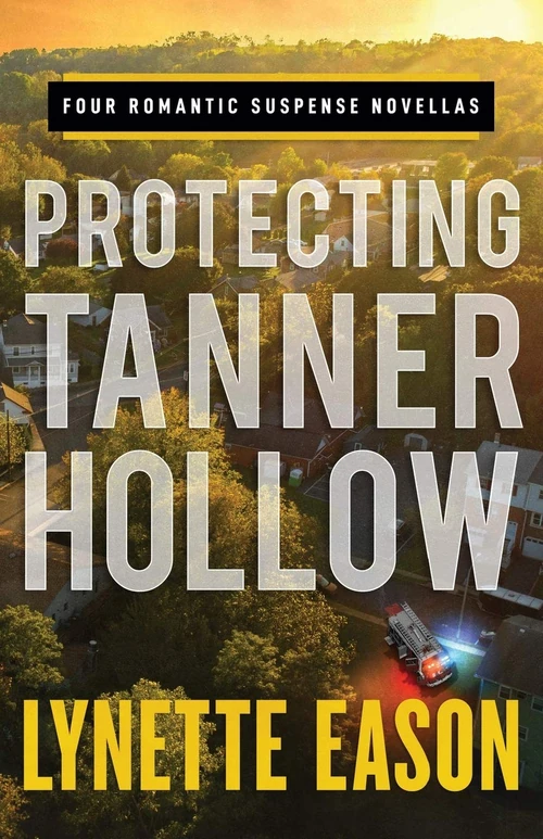 Cover of Protecting Tanner Hollow