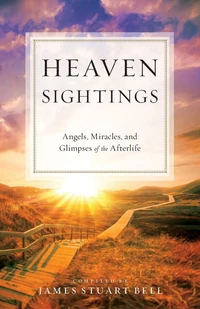 Cover of Heaven Sightings
