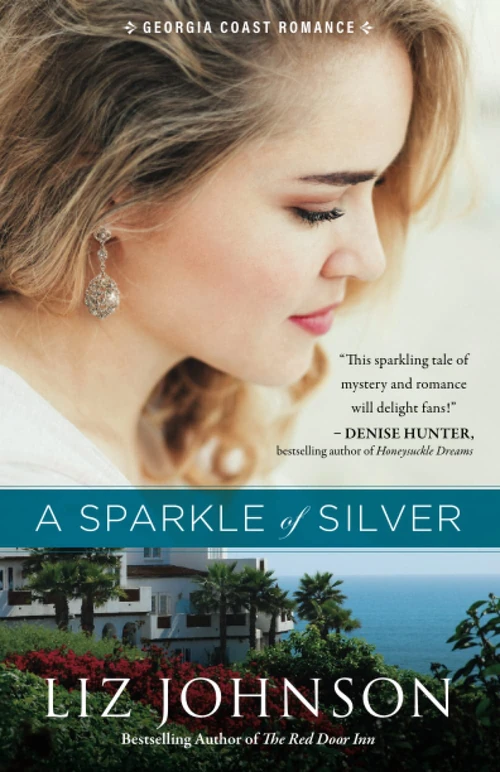 Cover of A Sparkle of Silver