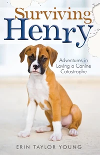 Cover of Surviving Henry