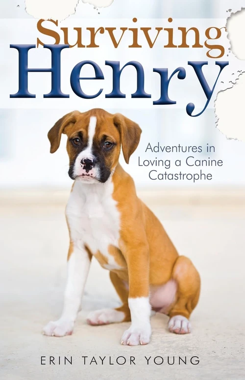 Cover of Surviving Henry