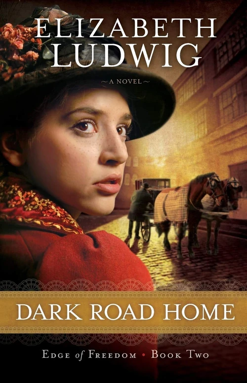 Cover of Dark Road Home
