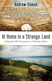 Cover of At Home in a Strange Land