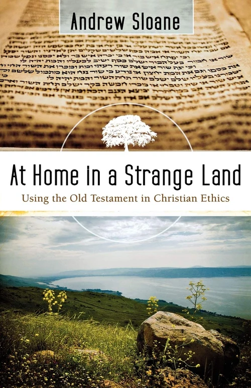 Cover of At Home in a Strange Land