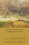 Cover of A Liturgy of Grief