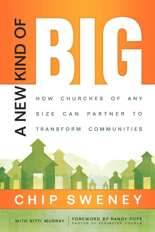 Cover of A New Kind of Big
