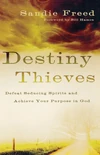 Cover of Destiny Thieves