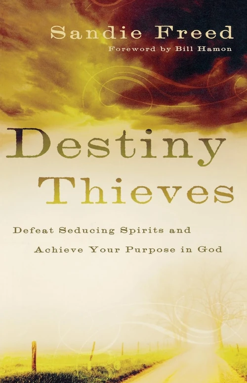 Cover of Destiny Thieves
