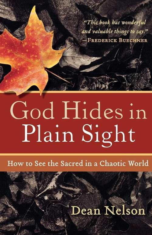 Cover of God Hides in Plain Sight