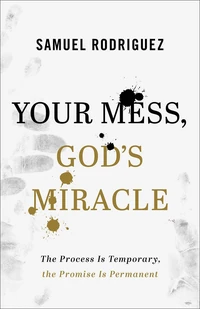 Cover of Your Mess, God's Miracle
