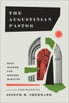 Cover of The Augustinian Pastor