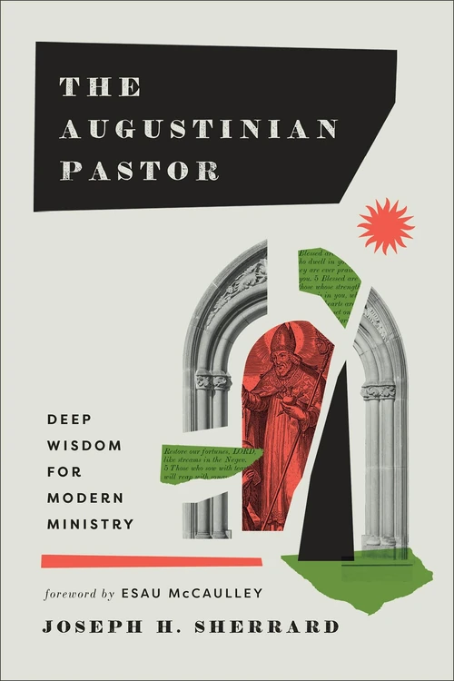 Cover of The Augustinian Pastor