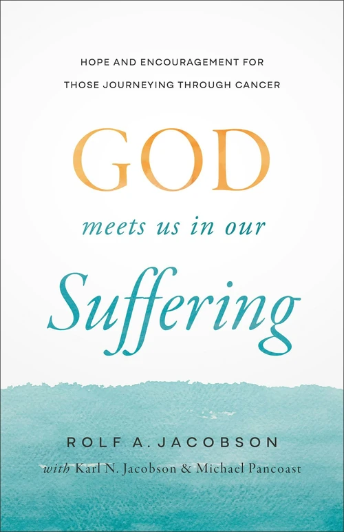 Cover of God Meets Us in Our Suffering