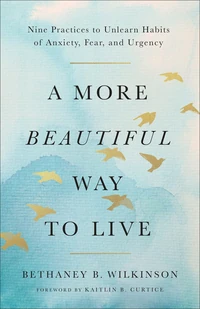 Cover of A More Beautiful Way to Live