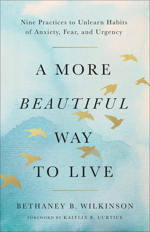 Cover of A More Beautiful Way to Live