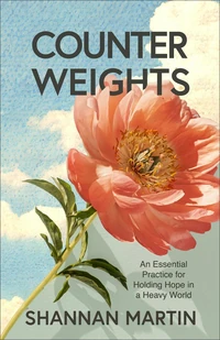 Cover of Counterweights