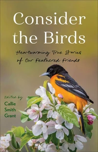 Cover of Consider the Birds