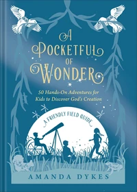 Cover of A Pocketful of Wonder