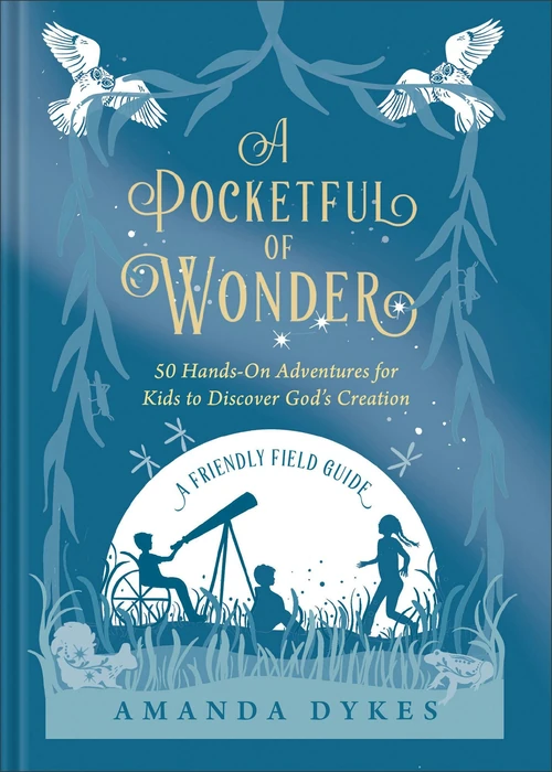Cover of A Pocketful of Wonder