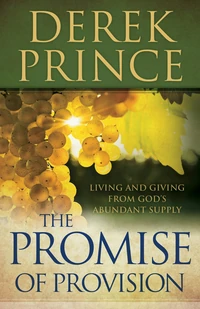Cover of The Promise of Provision
