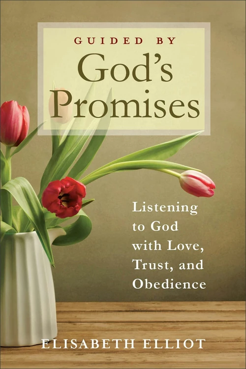 Cover of Guided by God's Promises