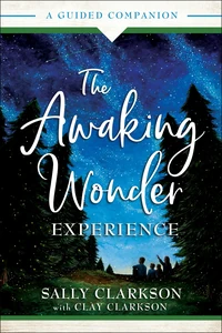 Cover of The Awaking Wonder Experience
