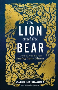 Cover of The Lion and the Bear