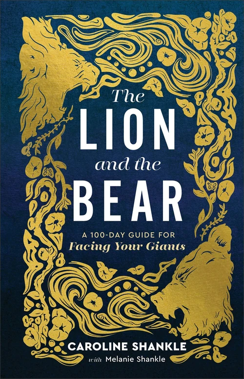 Cover of The Lion and the Bear