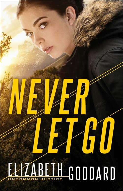 Cover of Never Let Go