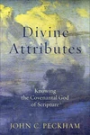 Cover of Divine Attributes