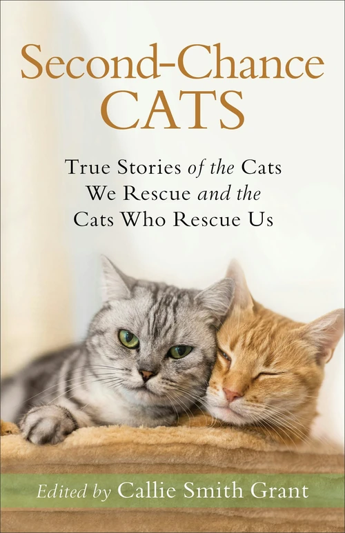 Cover of Second-Chance Cats