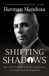 Cover of Shifting Shadows