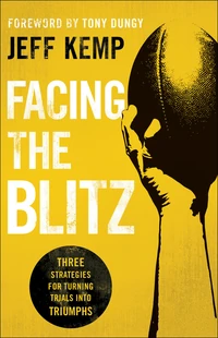 Cover of Facing the Blitz