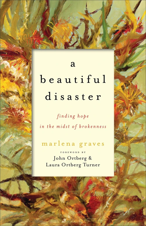Cover of A Beautiful Disaster