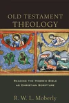 Cover of Old Testament Theology